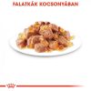 ROYAL CANIN INSTINCTIVE JELLY - felnőtt macska zselés nedves táp  (12*85g)