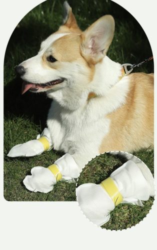 Kisállat lábvédő zokni készlet, tépőzárral - 20db - M