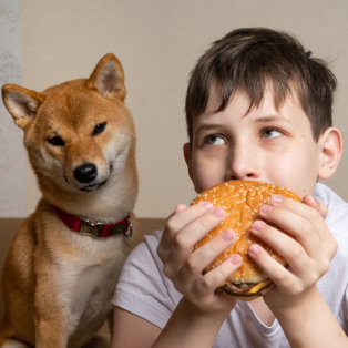 Miért nem ideális a kutyáinkat maradékkal etetni?